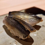 스시에인생꼬라박음