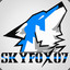 &quot;SkyFox&quot;