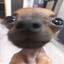 Y0daツ