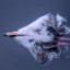 MISSILE