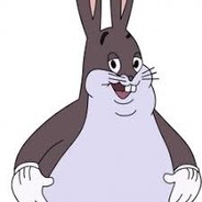 aashika.chungus