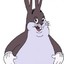 aashika.chungus