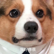 谁黑皮？谁肘击？谁在威胁直升机？