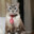 KITÓ