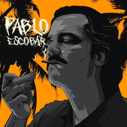 P4BL0 - steam id 76561199560489600