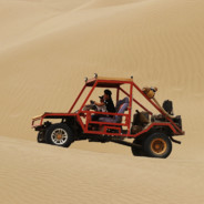 包子头的肖恩羊