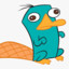 Perry The Platypus