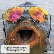karpik w wodzie