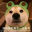 蛆