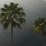 дядя епштейн