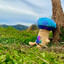 Shroom