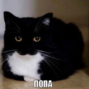 ржавый грыша