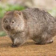 Wombatlover12