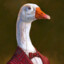 Intelligent Goose