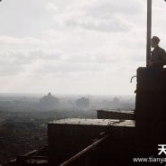 老年刀塔快乐刀塔