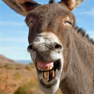 DonkeyOs