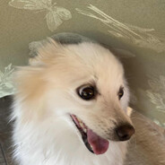 Sm0ker | nolagcs.com