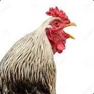 egg-