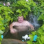 FatManOnTheBeach