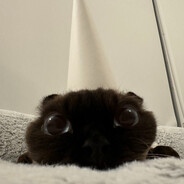 Yarak Obama - steam id 76561199819870317