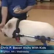 Chris P. Bacon