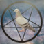 satanpigeon