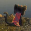 Qu