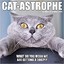 CAT-Astrophe