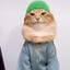 tabtabitab cat