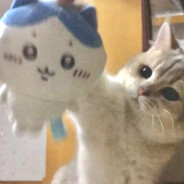 糖糖糖oo泡果奶