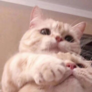 俺有一把沙鹰你接不