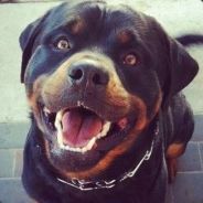 7к порядочность