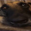 махмуд