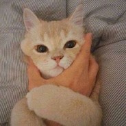 无头少女在线白给