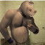 Rasse