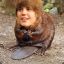 Justin Beaver