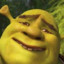 SHREK_IS_THICC