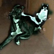 le maitre des sniper hahah