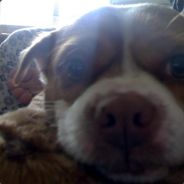 剧毒术士柯震东