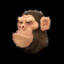 Ape #9