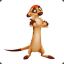 Timon