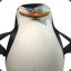 Penguin.Skipper