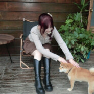 奥利奥利奥利奥