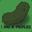 A Pickle