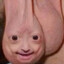 mangoshark