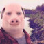 JOHN PORK