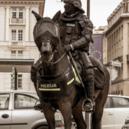 Chivalrous tenderness