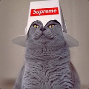 Supreme Cat