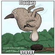 mucho sexo gay