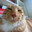 ArchiCAT